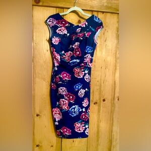 Lipsy Blue and Pink Sheath Dress with Cowl Neck